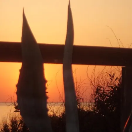 Della Yucca 加利波利
