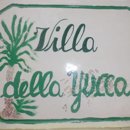 Della Yucca * 加利波利