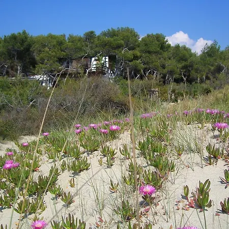 Della Yucca 度假居