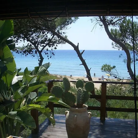 Della Yucca 加利波利