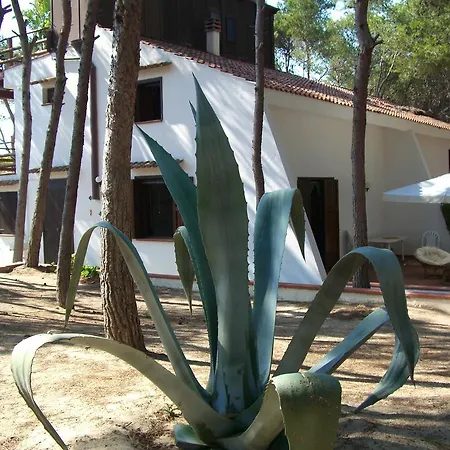 Della Yucca 度假居 *